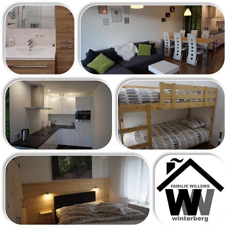 Appartement Familie Willems Winterberg 2 Extérieur photo