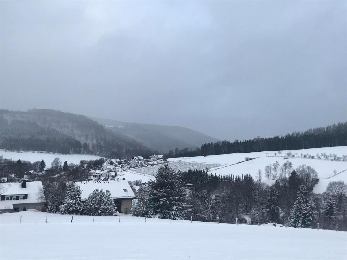 Appartement Familie Willems Winterberg 2 Extérieur photo